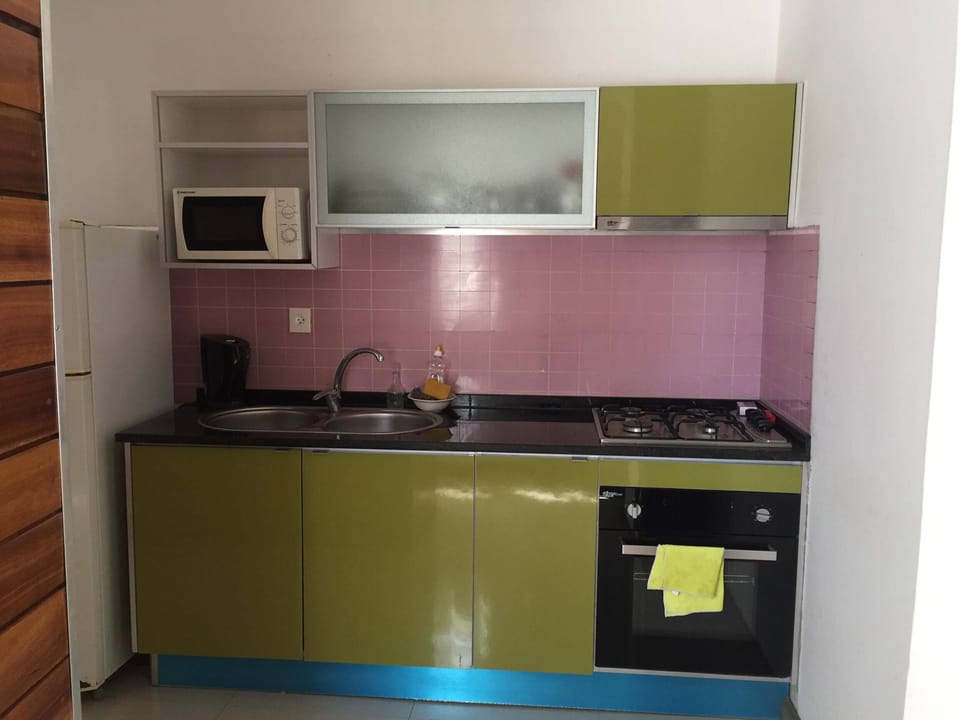 Family Apartment, 2 Bedrooms | Private kitchen | Full-size fridge, microwave, oven, stovetop