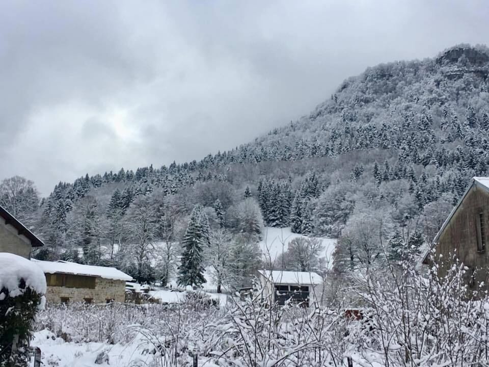 Mountain view