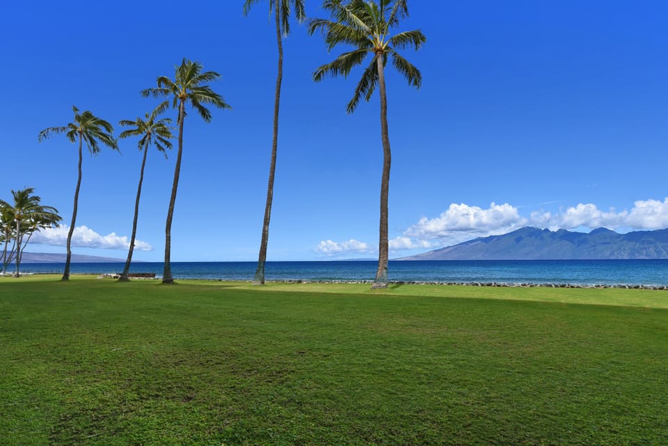 Condo, 1 Bedroom | Property grounds