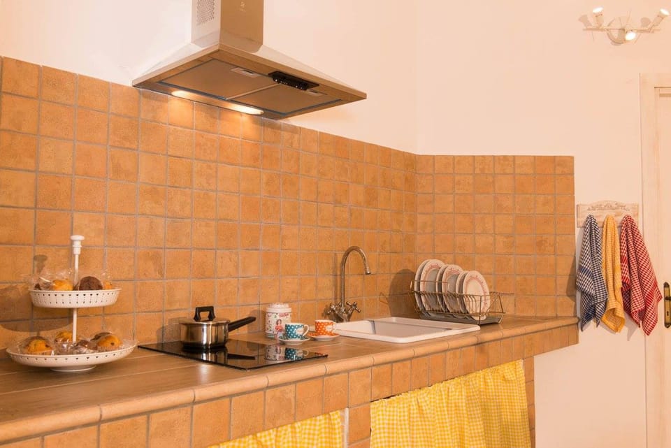 Deluxe Apartment, 1 Bedroom | Private kitchen | Fridge, stovetop, electric kettle, cookware/dishes/utensils