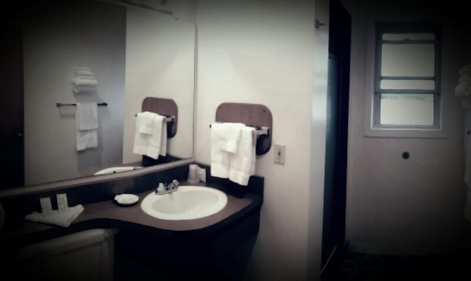 Room, 1 Queen Bed | Bathroom | Shower, free toiletries, hair dryer, towels