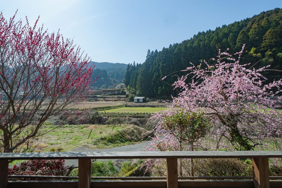 Private Vacation Home | View from room