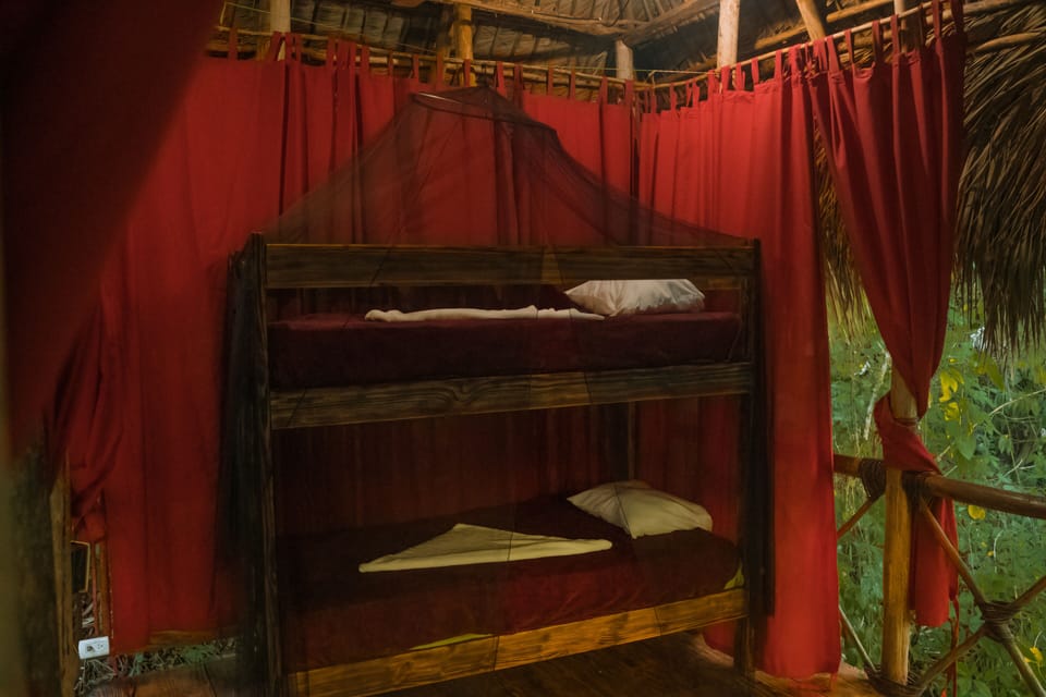Family Tree House, Garden View | In-room safe, bed sheets