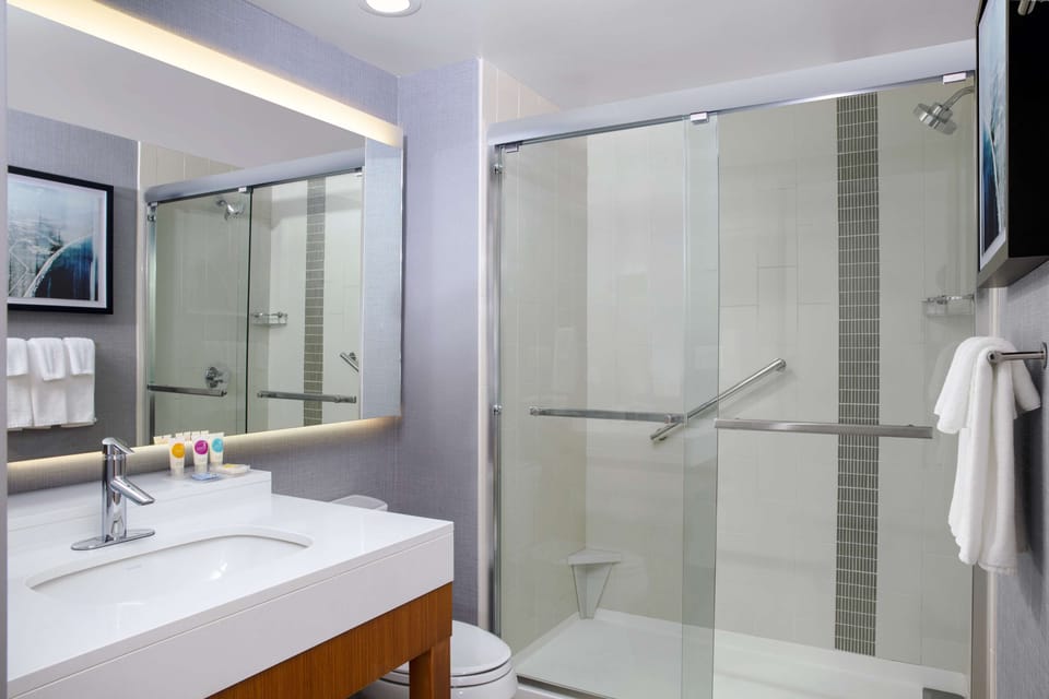 Combined shower/tub, free toiletries, hair dryer, towels