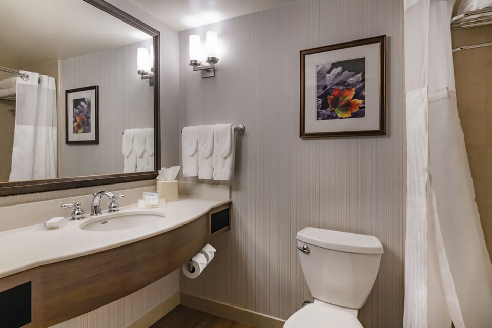 Free toiletries, hair dryer, towels