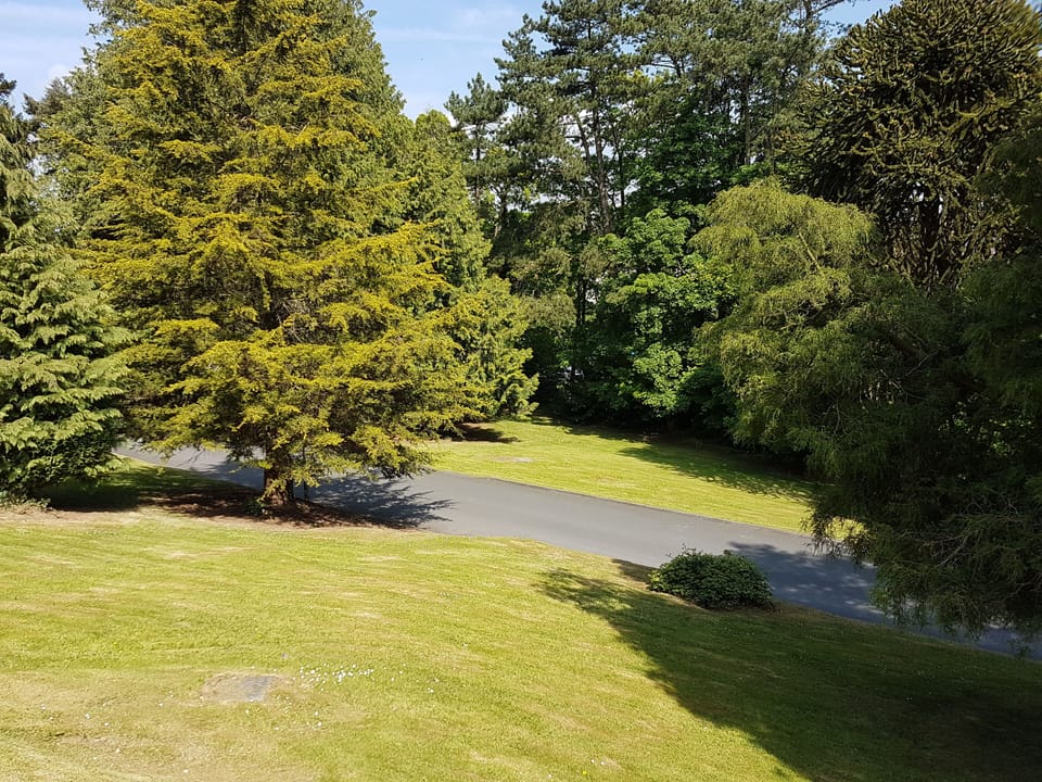 Superior Double Room | View from room