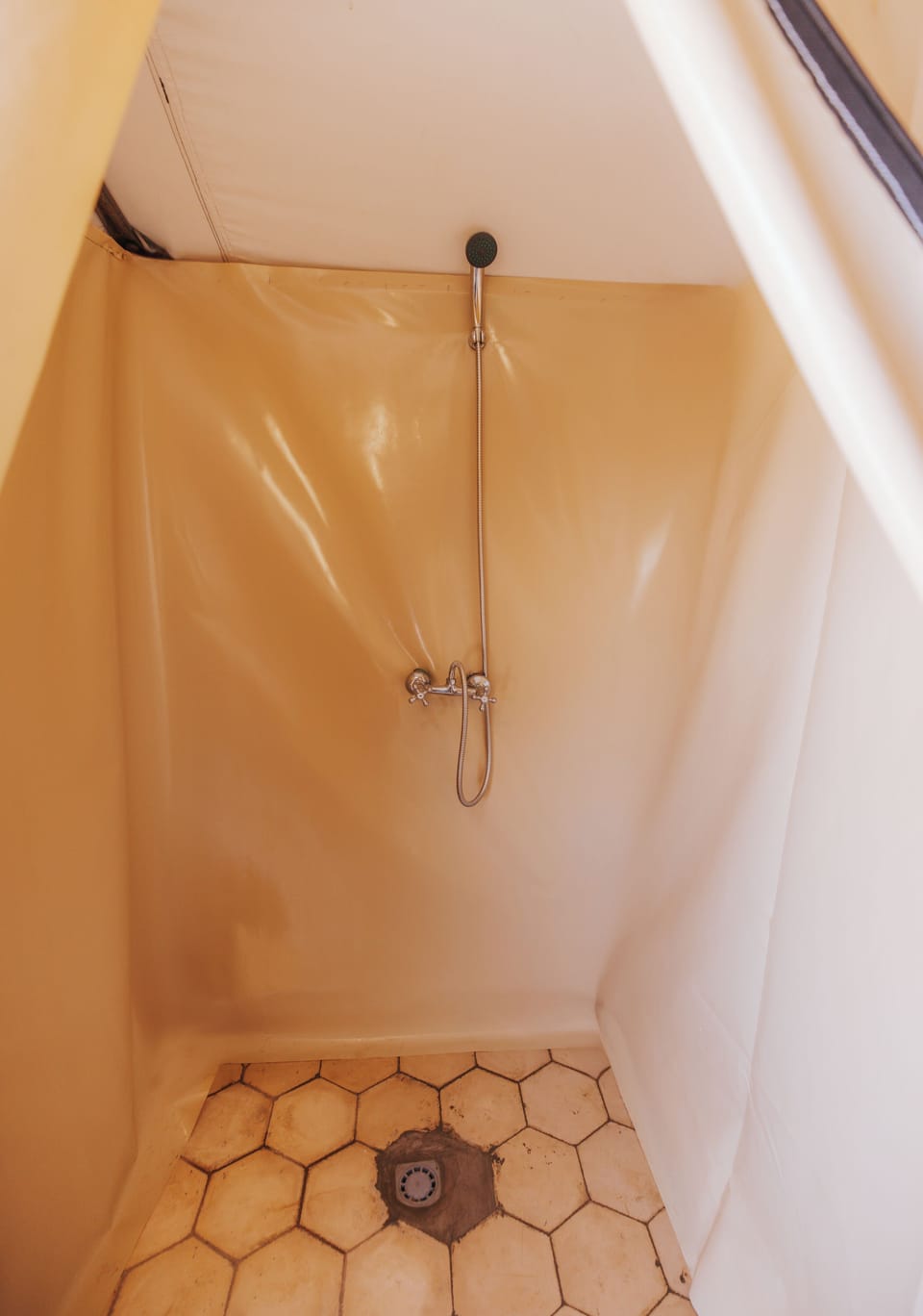 Shower, towels, toilet paper
