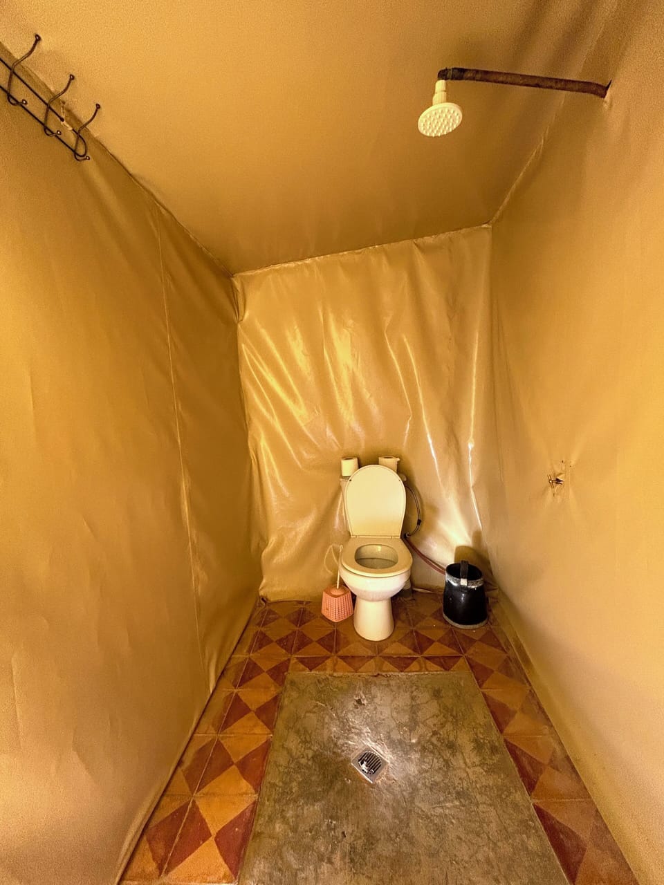 Shower, towels, toilet paper