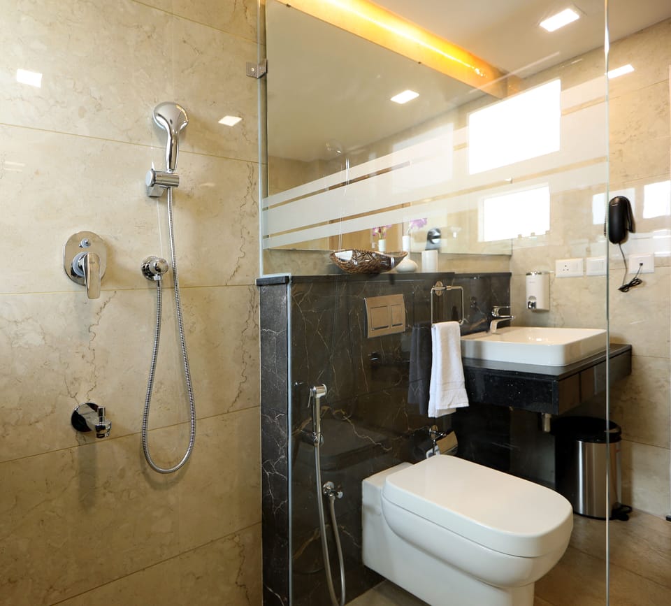 Shower, free toiletries, hair dryer, towels