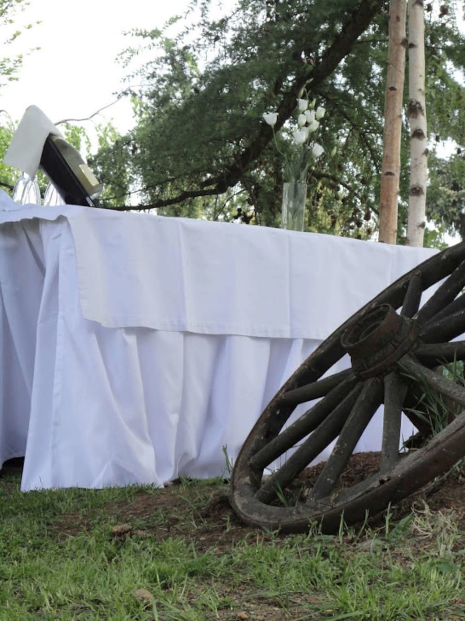 Outdoor wedding area