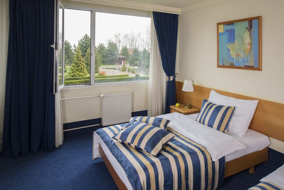Superior Room | View from room