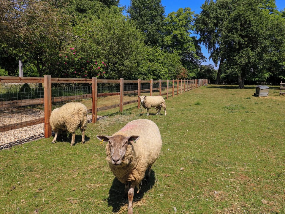 Cottage | Miscellaneous