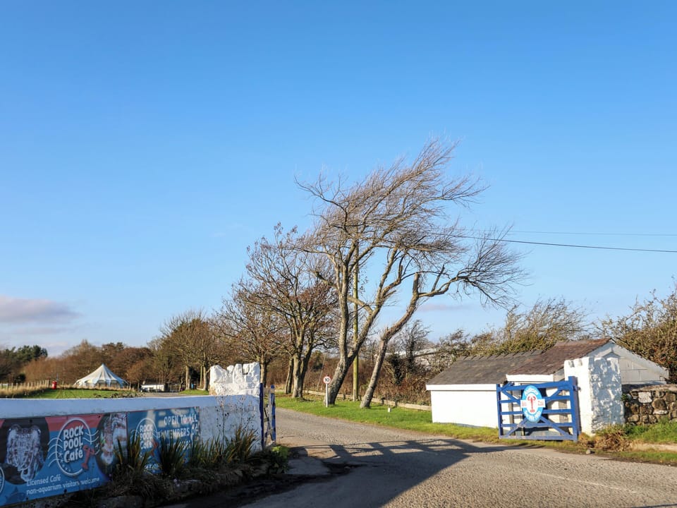 Cottage | Miscellaneous