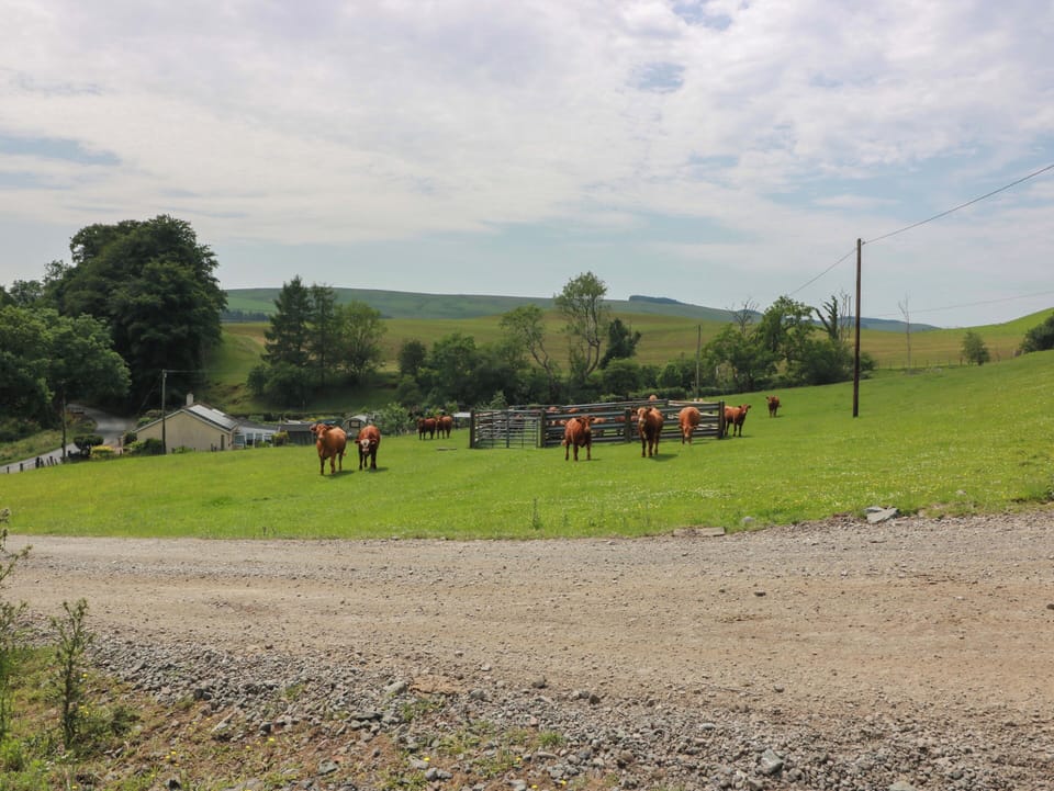 Cottage | Miscellaneous