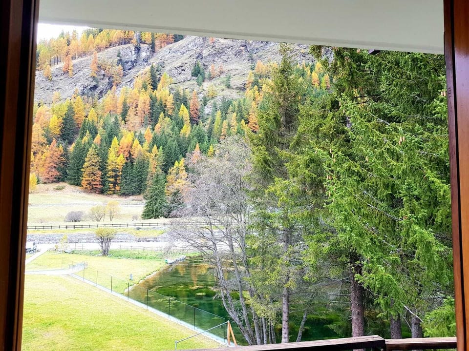 Apartment, 1 Bedroom, Mountain View | View from room