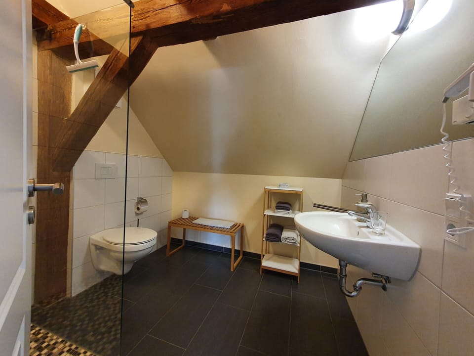 Superior Double Room, Ensuite, Garden View (#4 KingLouis im 1.OG) | Bathroom