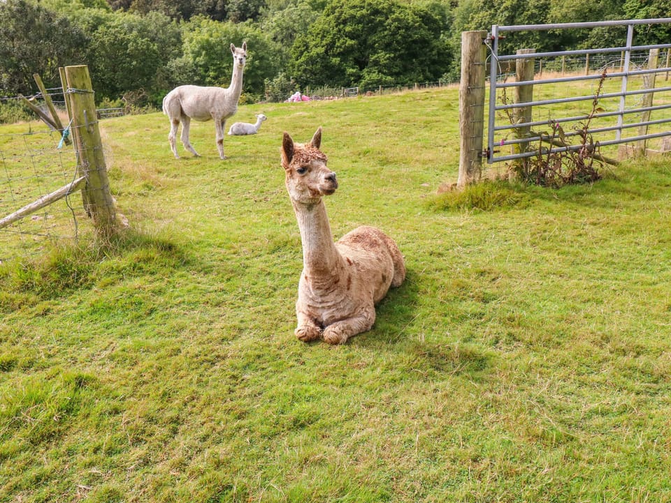 Cottage | Property grounds