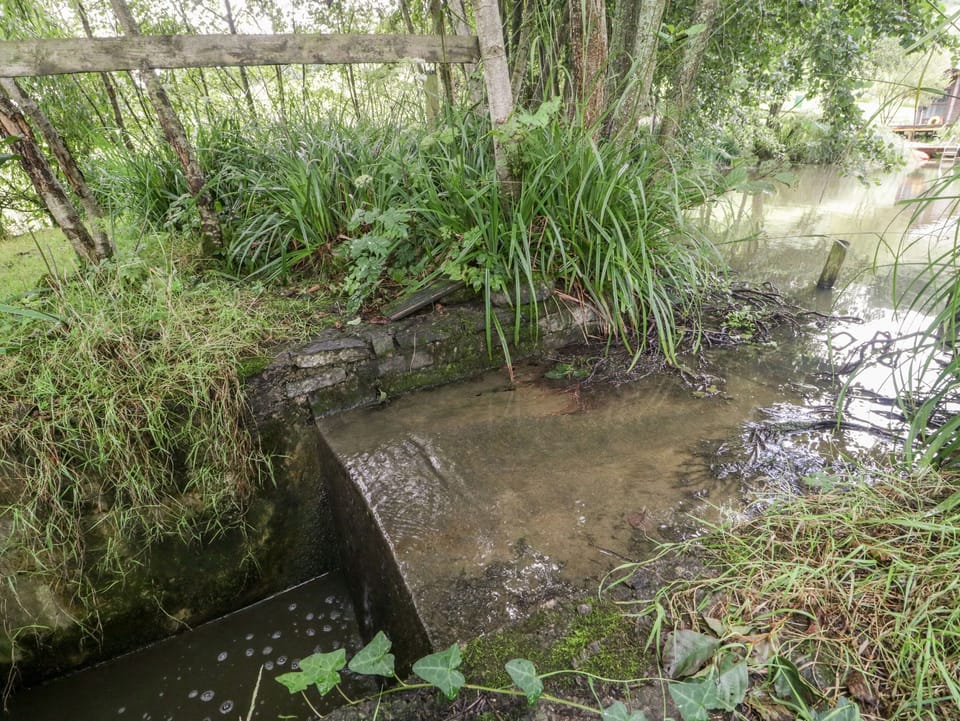 Cottage | Property grounds