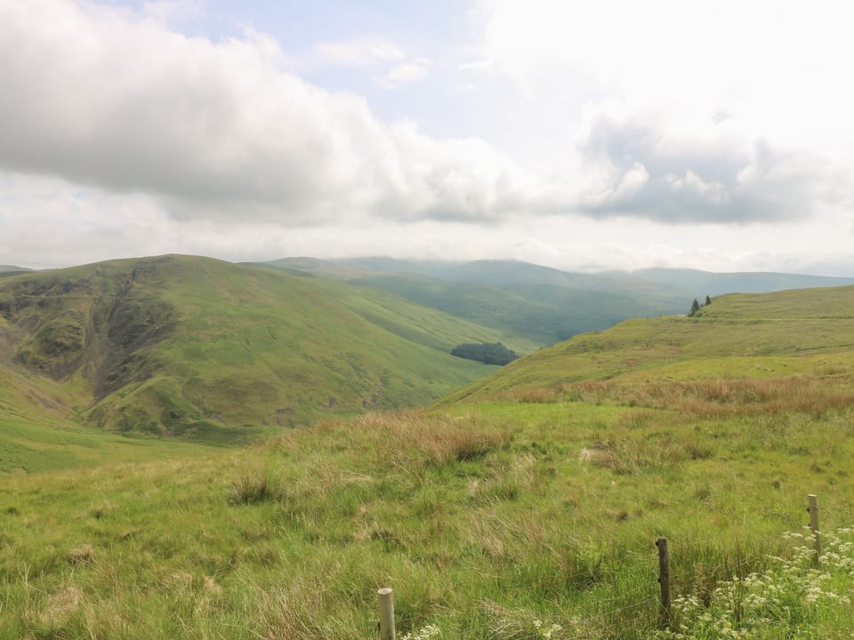 Cottage | Miscellaneous