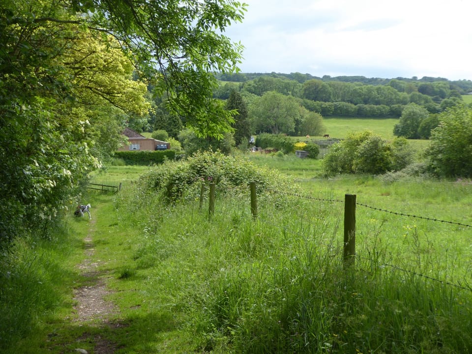 The Forge Cottage in Sedgemoor