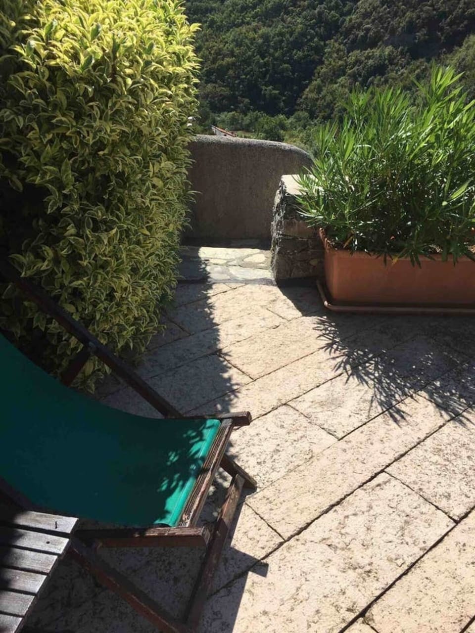House | Property grounds