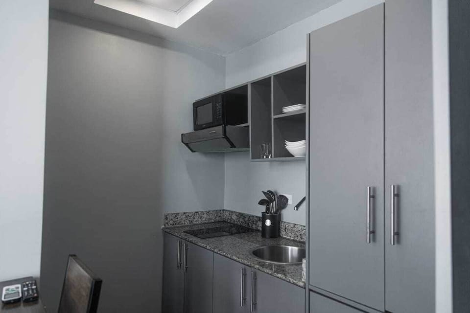Studio, 1 Full Bed, Kitchen, City View (Studio Apartment) | Private kitchen | Coffee/tea maker, dishwasher, cookware/dishes/utensils