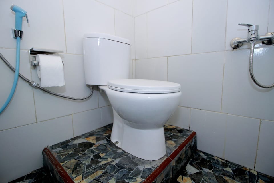 Deluxe Double Room | Bathroom | Shower, towels