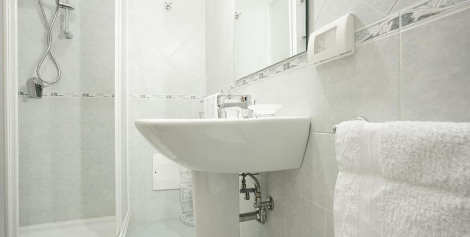 Deluxe Double or Twin Room | Bathroom | Shower, hair dryer, bidet, towels