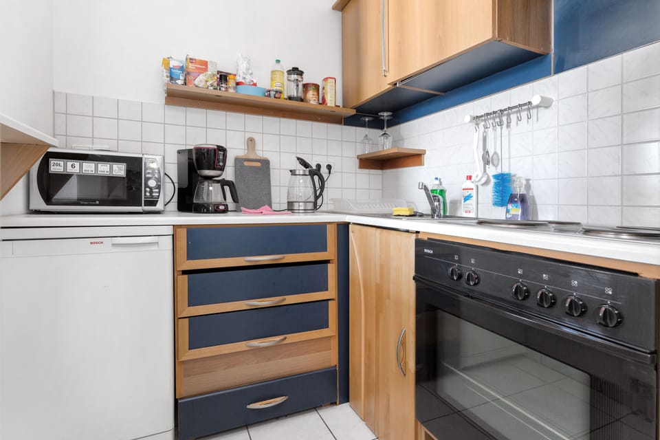 Classic Studio (Saxonia) | Private kitchen | Fridge, microwave, oven, stovetop