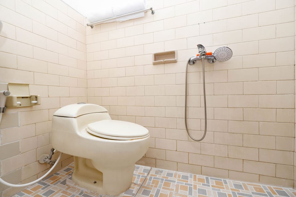 Deluxe Twin Room | Bathroom | Shower, towels