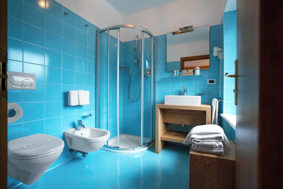Free toiletries, hair dryer, towels