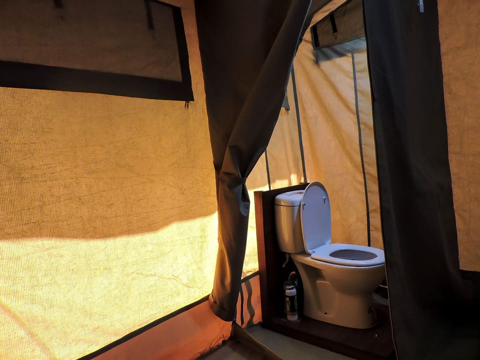 Luxury Tent | Bathroom | Shower, rainfall showerhead, free toiletries, bathrobes