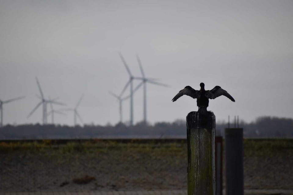 Land view from property