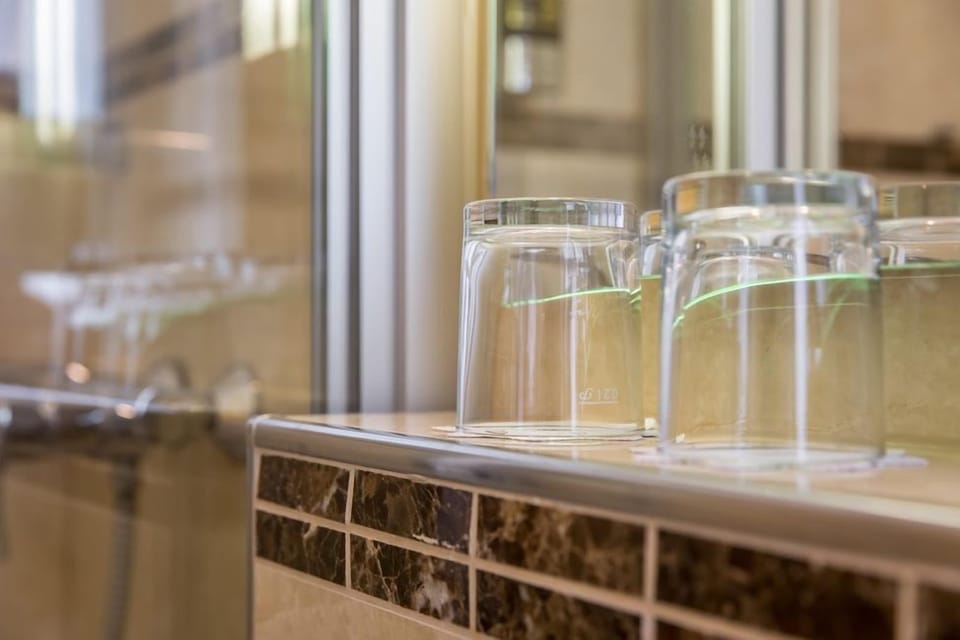 Business Twin Room | Bathroom amenities | Shower, hair dryer, towels, soap