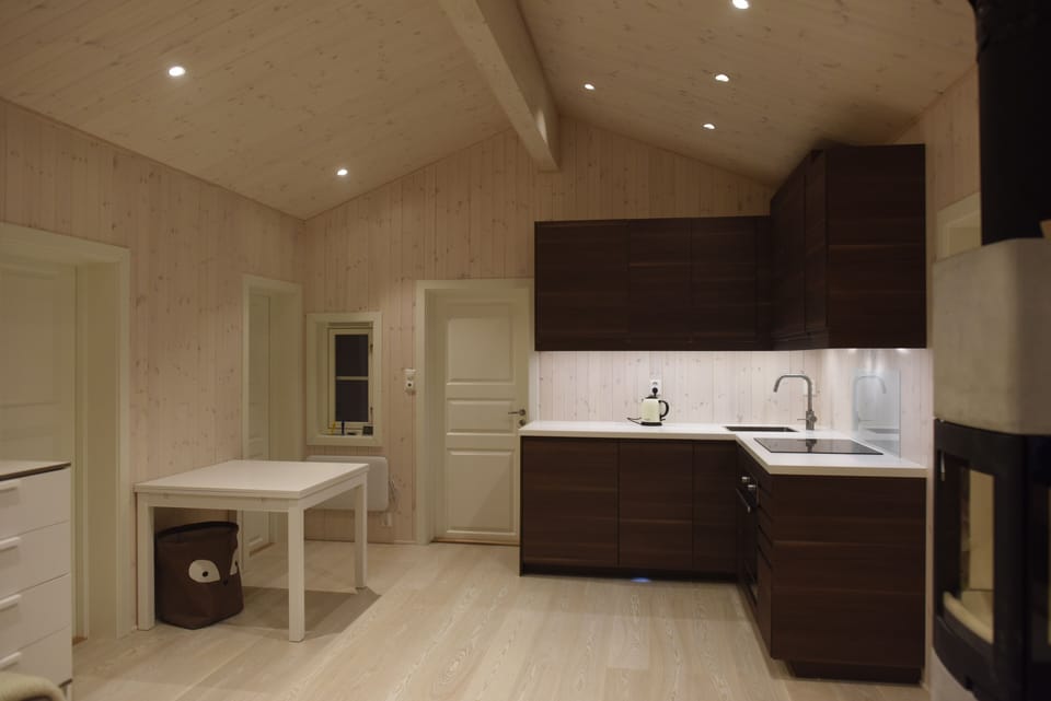 Villa | Private kitchen | Fridge, oven, stovetop, dishwasher