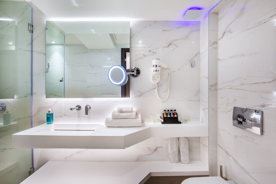 Budget Single Backyard View | Bathroom | Designer toiletries, hair dryer, slippers, bidet