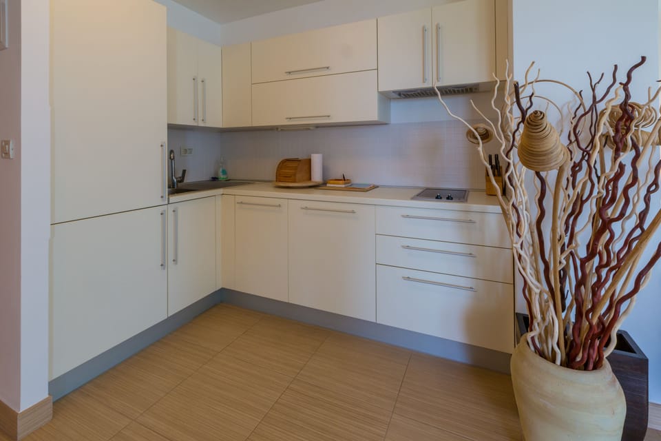 Apartment, 2 Bedrooms, Sea View | Private kitchen | Fridge, stovetop, electric kettle, cookware/dishes/utensils