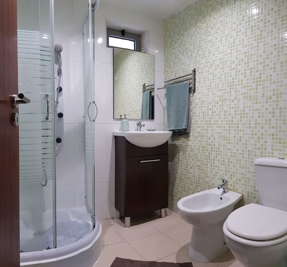 Shower, hair dryer, bidet, towels