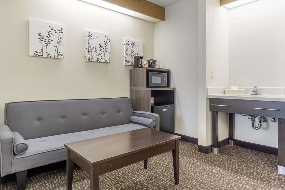 Suite, 1 King Bed with Sofa bed, Non Smoking | Pillowtop beds, in-room safe, desk, blackout drapes