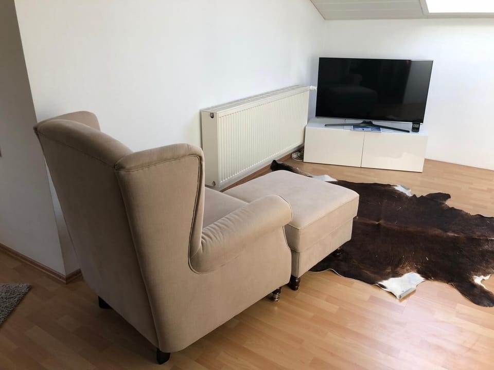 Flat-screen TV
