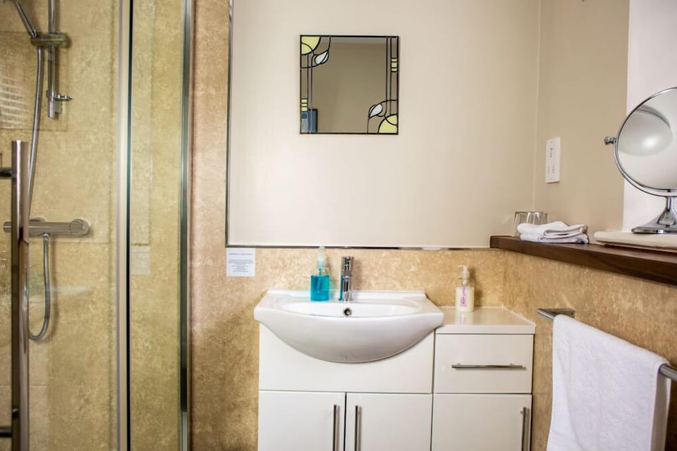 Deluxe Double Room | Bathroom | Shower, hair dryer, towels, soap
