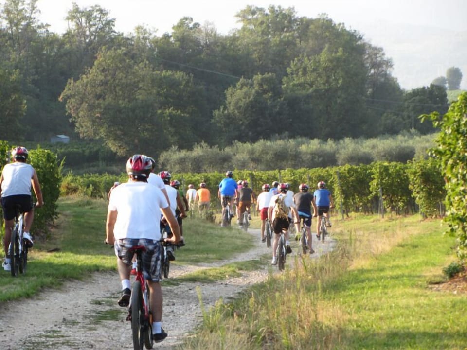 Bicycling