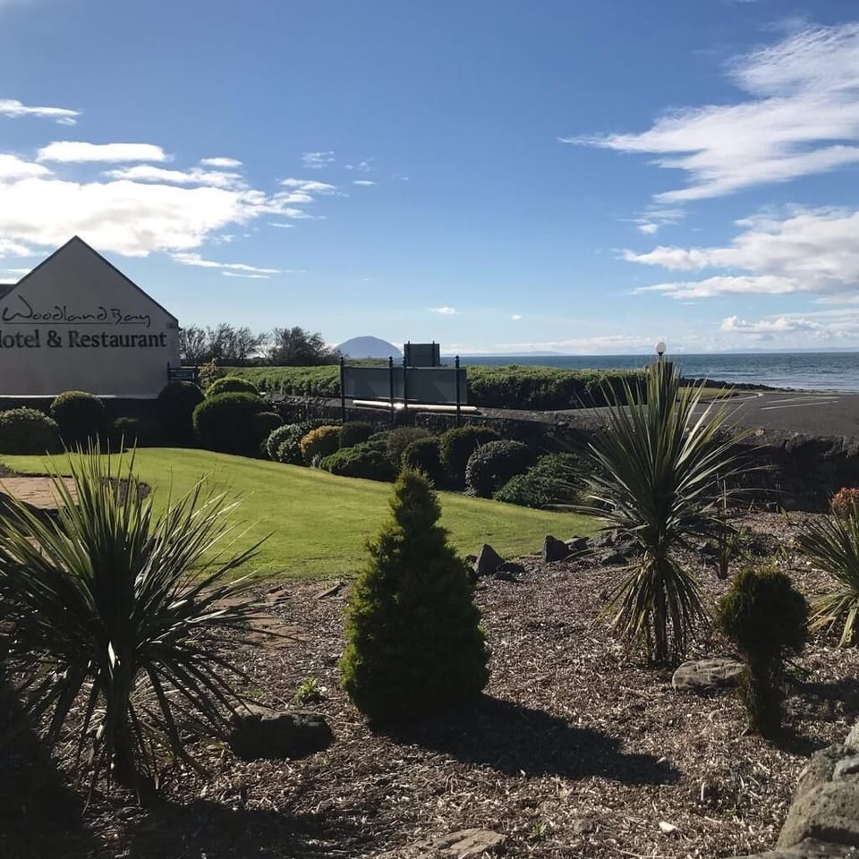 Hypo-allergenic bedding, in-room safe, desk, laptop workspace
