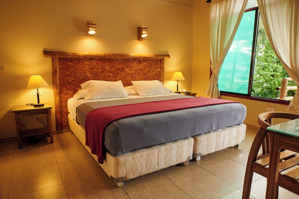 Traditional Room, 1 King Bed