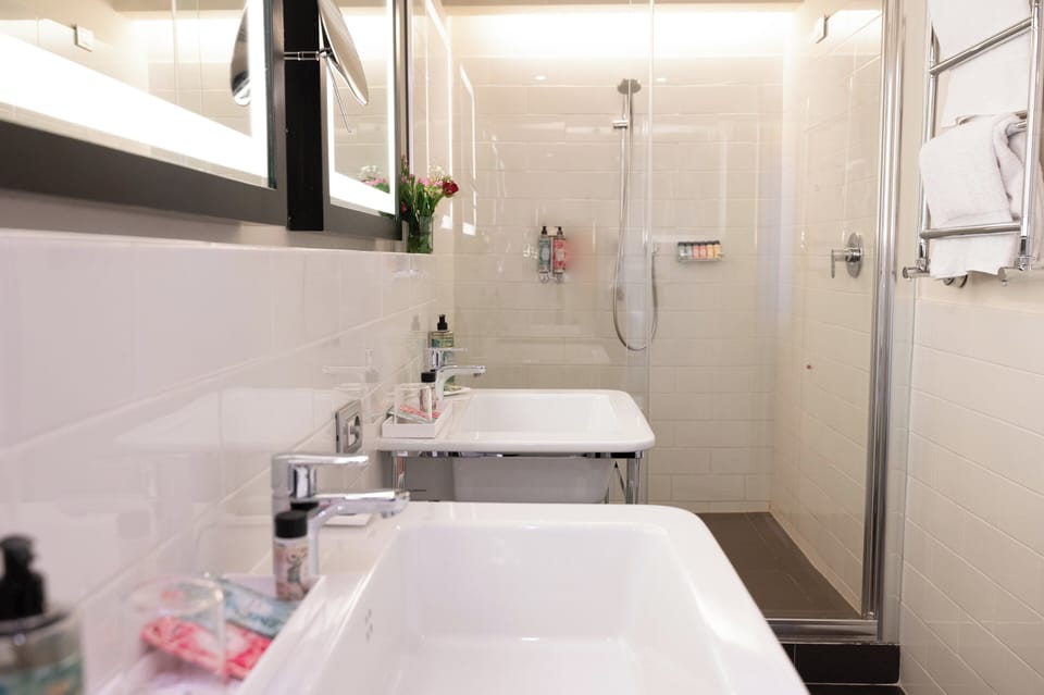 Hair dryer, bidet, towels