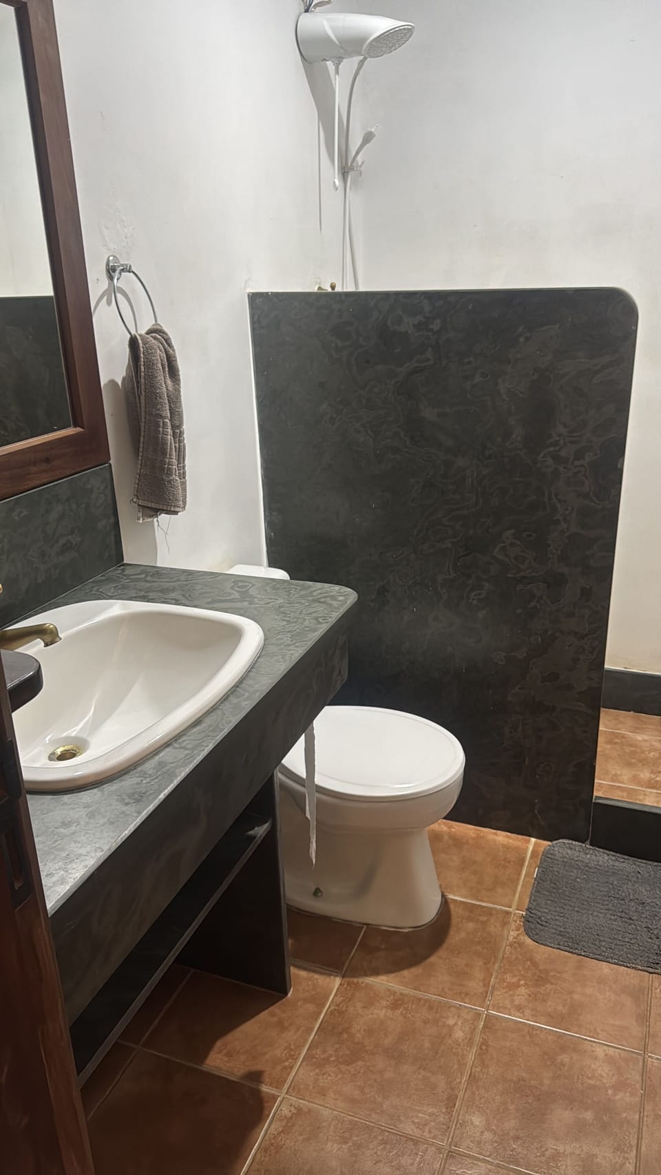 Superior Room | Bathroom | Shower
