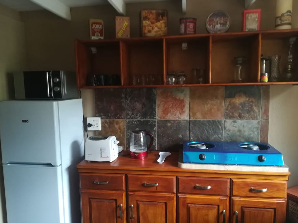 Unit 7 Ficus | Private kitchen | Mini-fridge, microwave, cleaning supplies