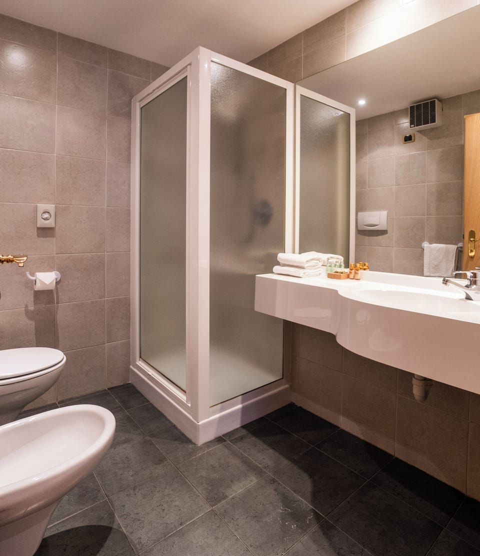 Shower, hair dryer, bidet, towels