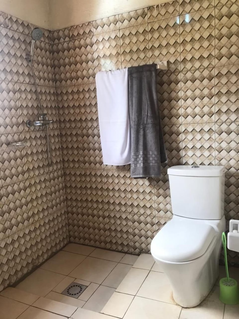Shower, free toiletries, towels, soap