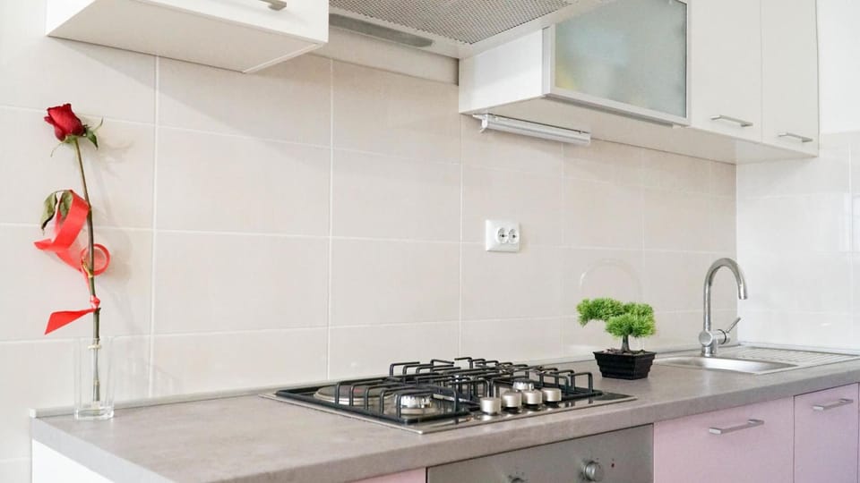 Fridge, oven, stovetop, cookware/dishes/utensils